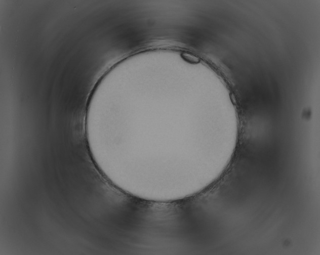 X0000095551322200801041322