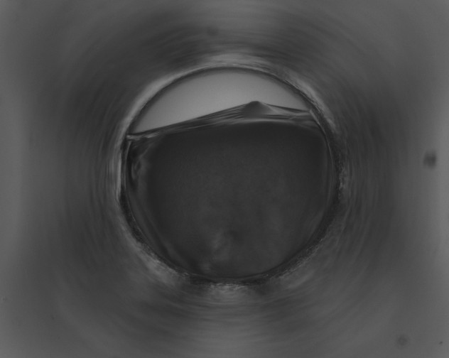 X0000095551323200801041322