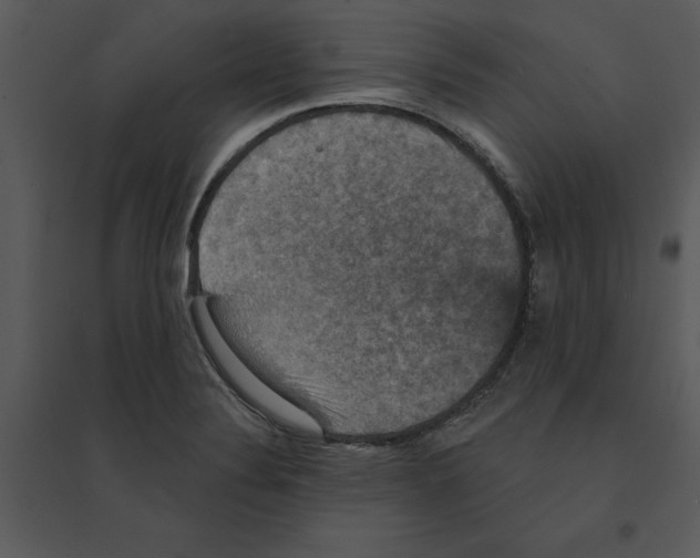 X0000095551324200801041322