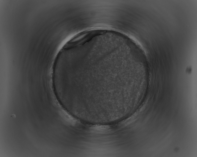 X0000095551325200801041322