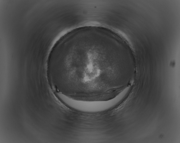 X0000095551326200801041322