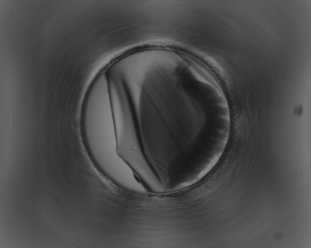 X0000095551327200801041322