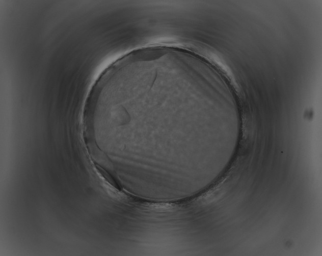 X0000095551328200801041322