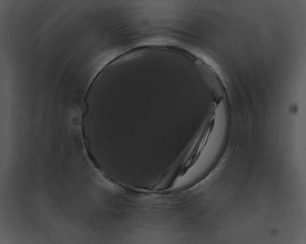 X0000095551329200801041322