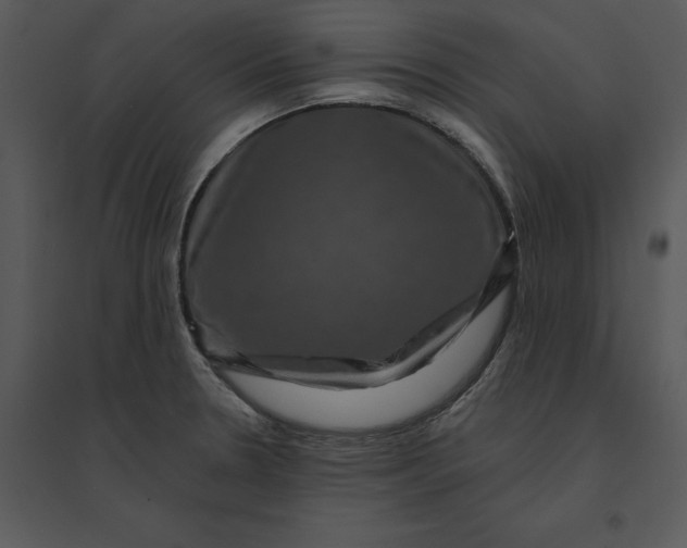 X0000095551330200801041323