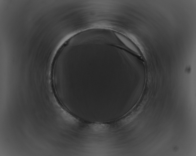 X0000095551331200801041323