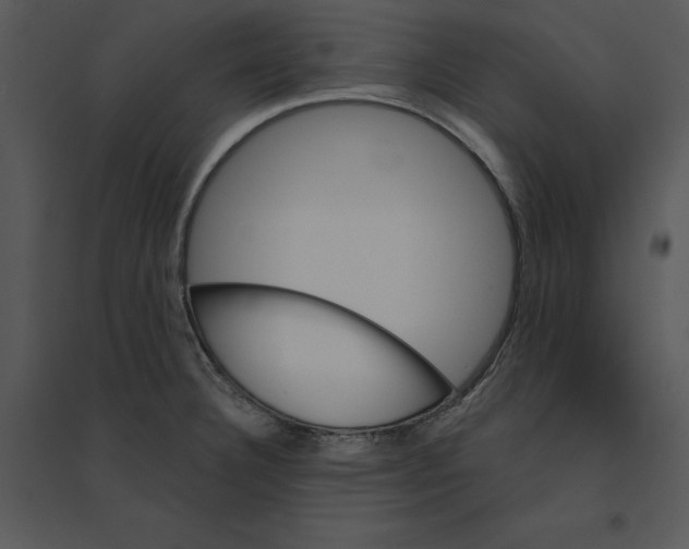 X0000095551332200801041323