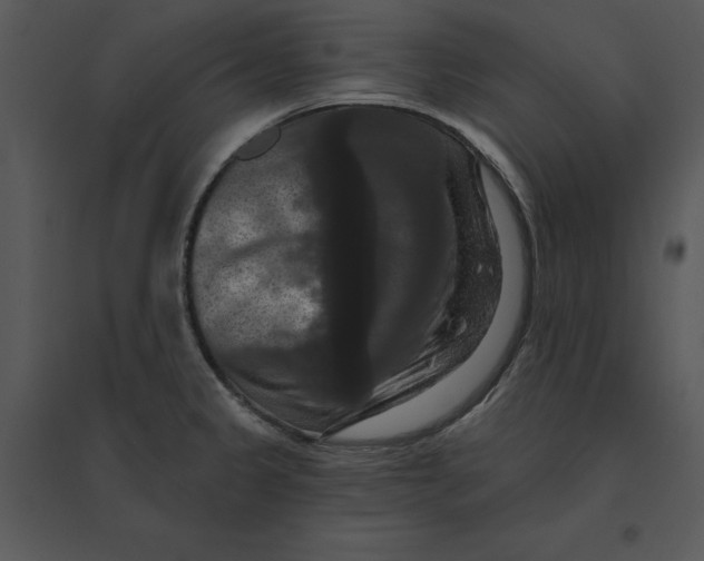 X0000095551333200801041323