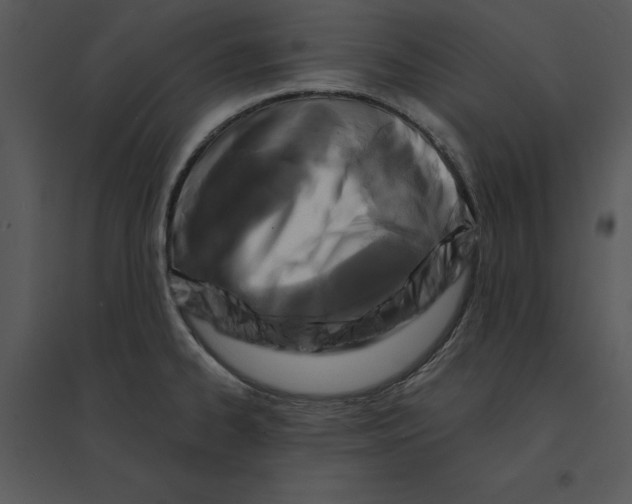 X0000095551334200801041323