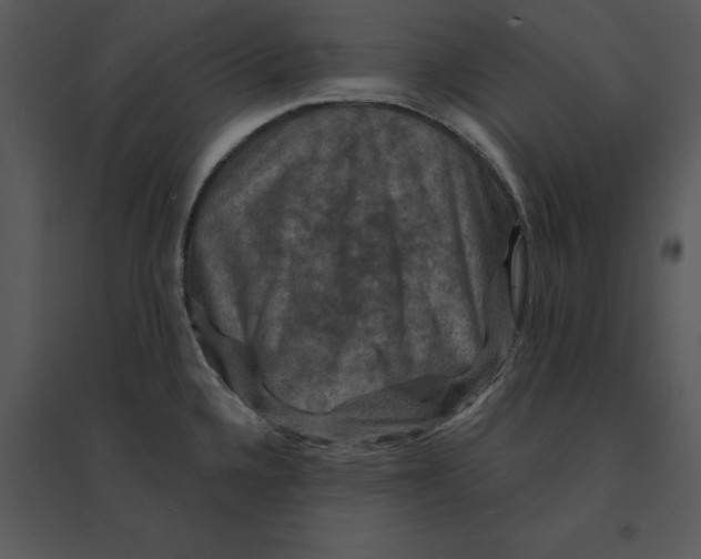 X0000095551336200801041323