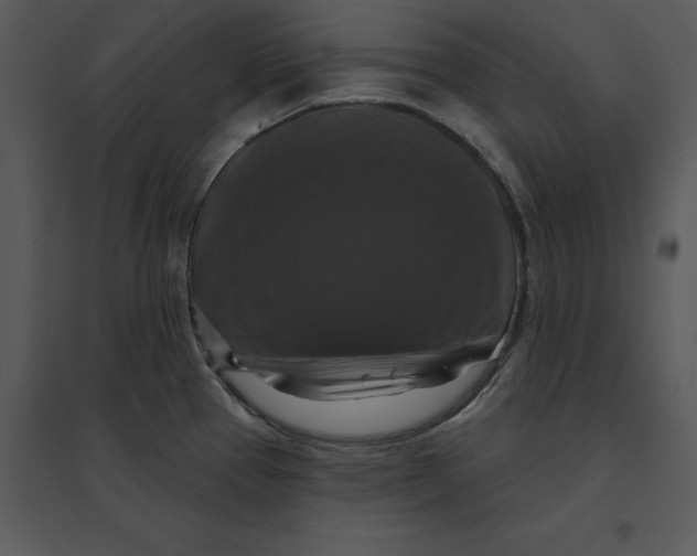 X0000095551337200801041323