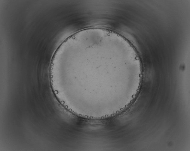 X0000095551338200801041323