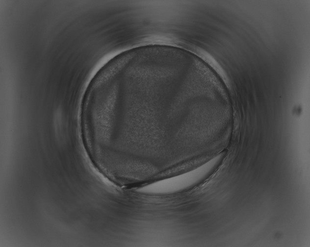 X0000095551339200801041323