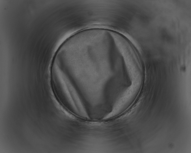 X0000095551341200801041323