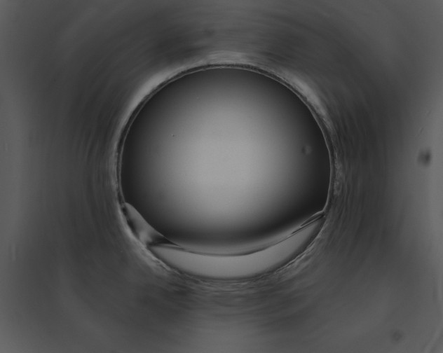 X0000095551342200801041323