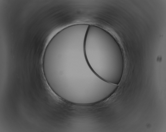 X0000095551344200801041323