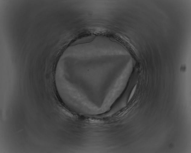 X0000095551345200801041322