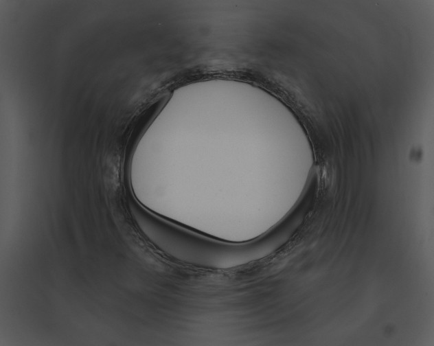 X0000095551348200801041322