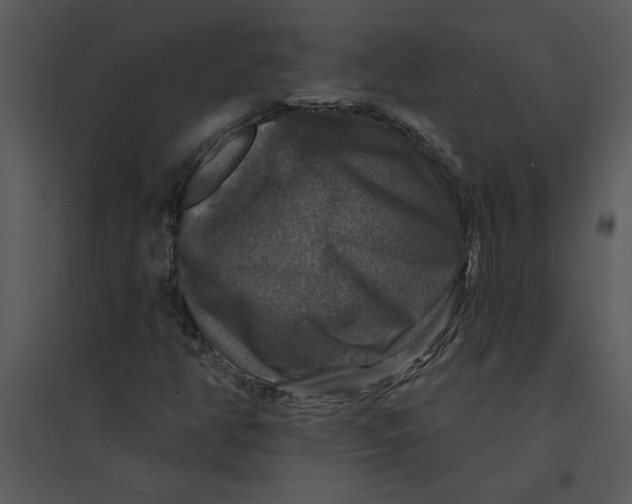 X0000095551350200801041322