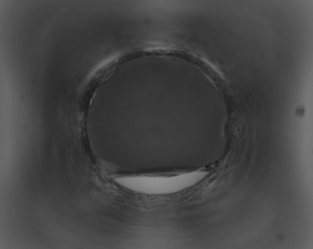 X0000095551351200801041322