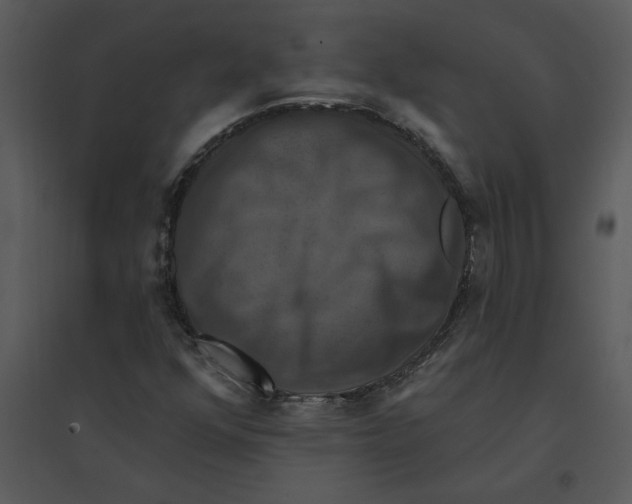 X0000095551352200801041322