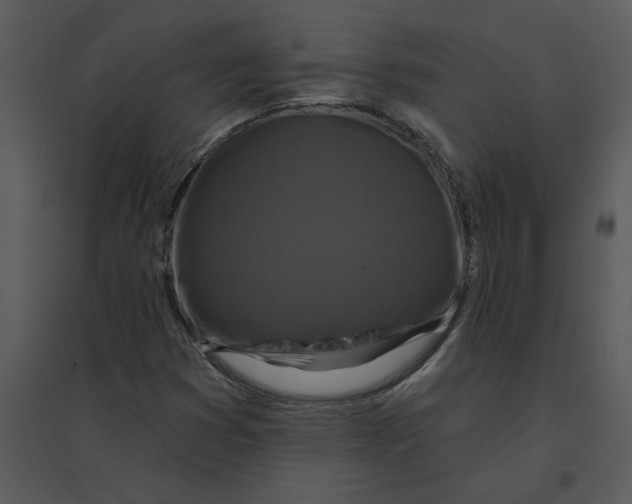 X0000095551353200801041322