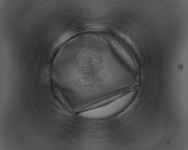 X0000095551354200801041322