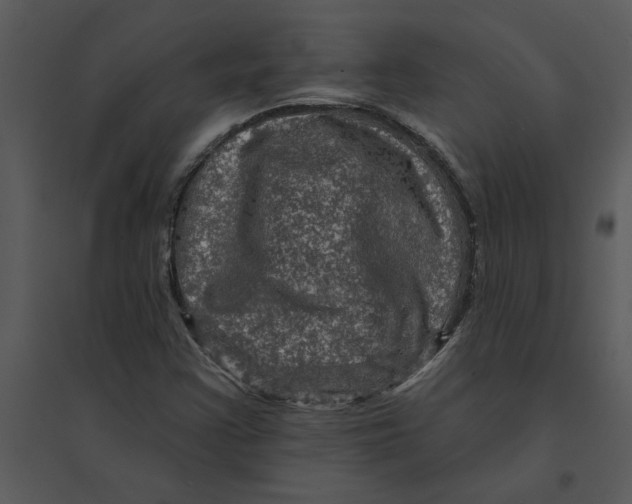 X0000095551355200801041322