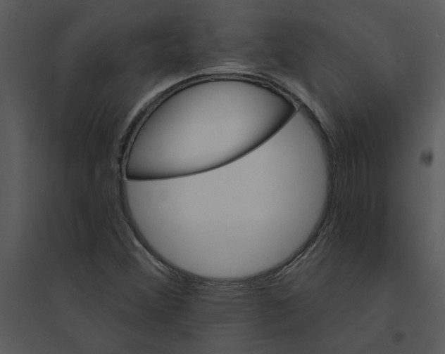 X0000095551356200801041322