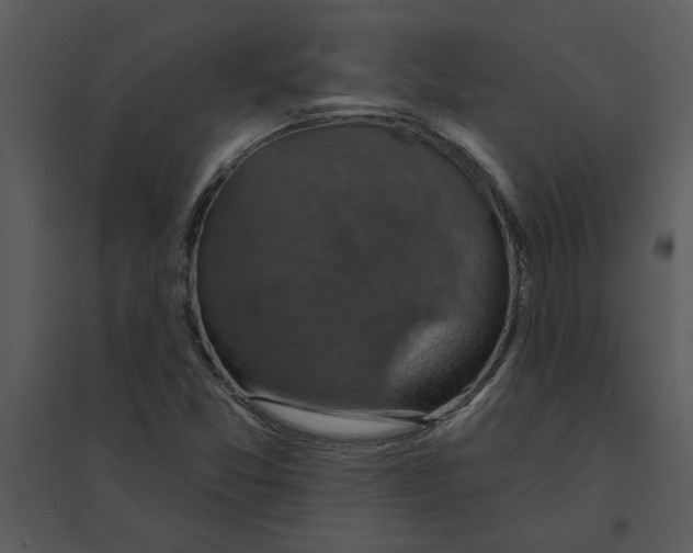 X0000095551357200801041322