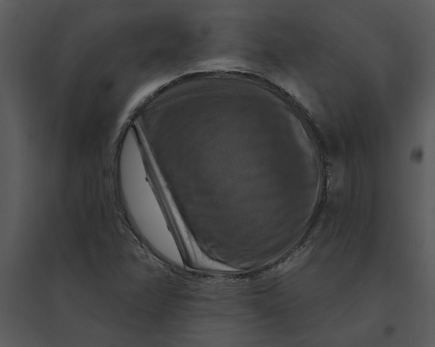 X0000095551358200801041322