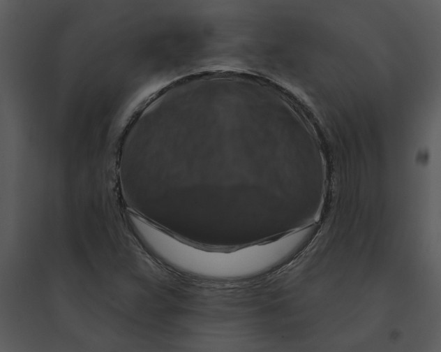 X0000095551359200801041322