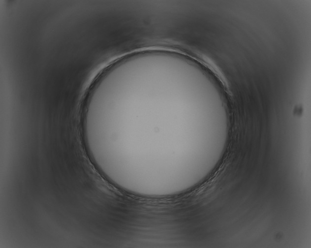 X0000095551360200801041322