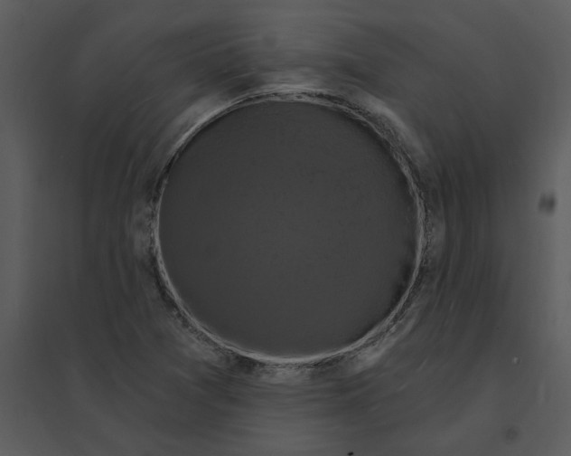 X0000095551361200801041322