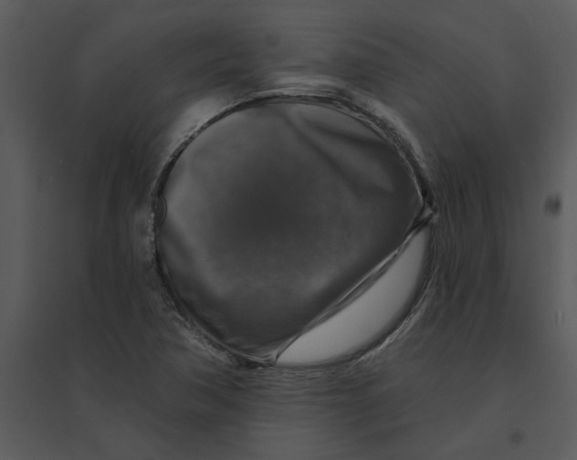 X0000095551362200801041322