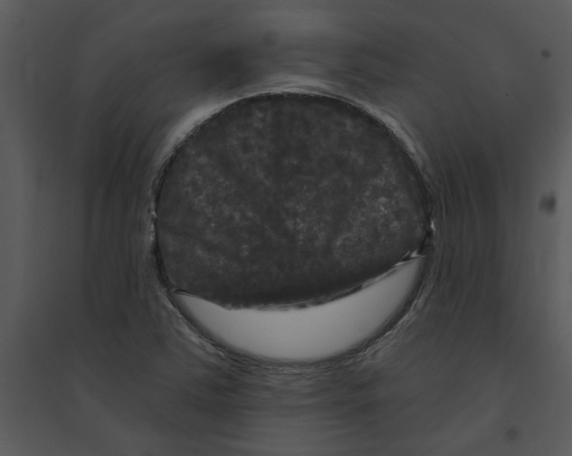 X0000095551363200801041322