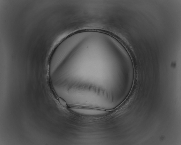 X0000095551366200801041322