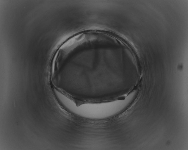 X0000095551367200801041322