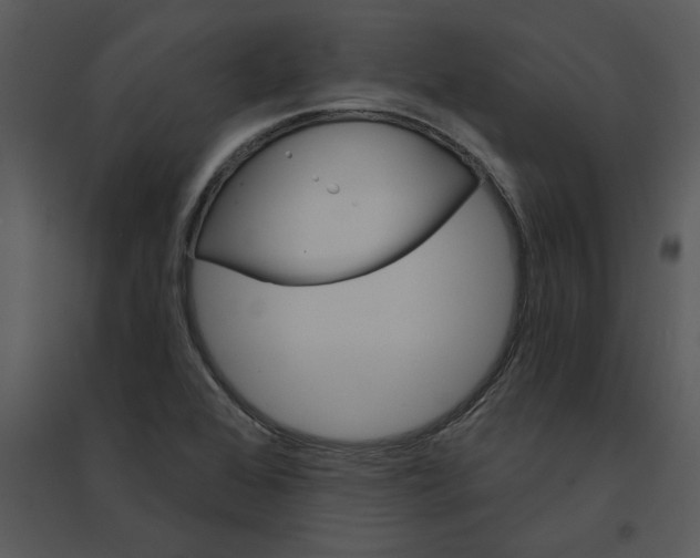 X0000095551368200801041322