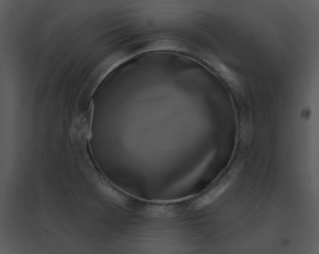 X0000095551369200801041322