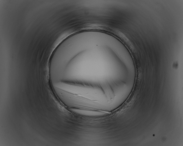 X0000095551370200801041322