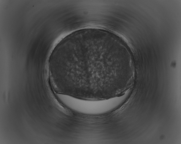 X0000095551371200801041322