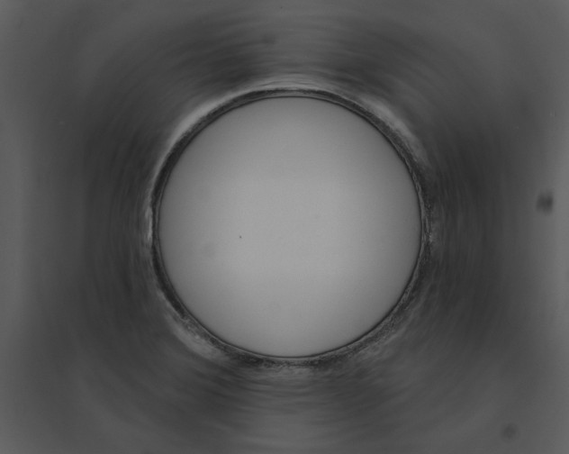 X0000095551372200801041322