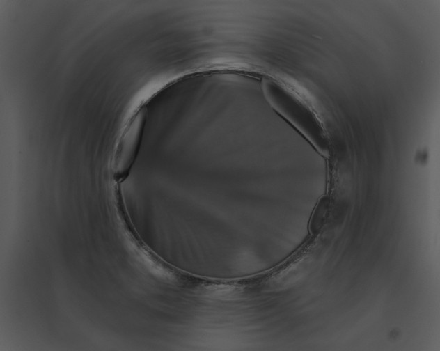 X0000095551373200801041322