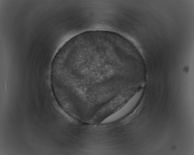 X0000095551374200801041322