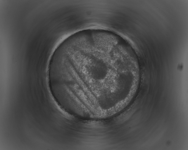 X0000095551375200801041322