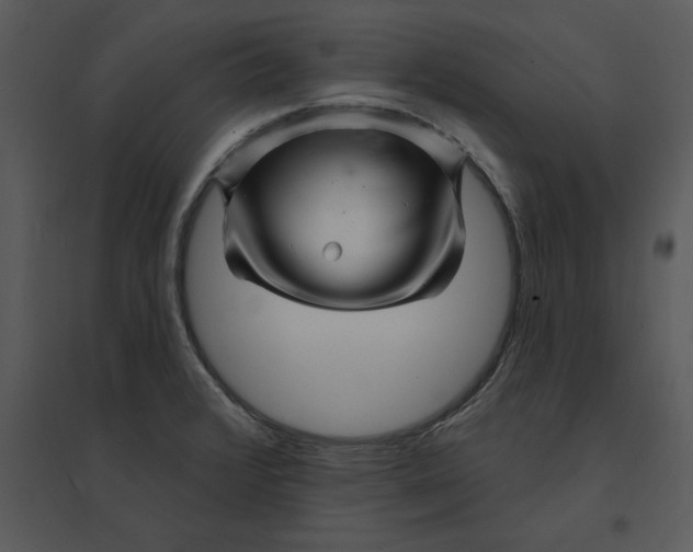 X0000095551376200801041322