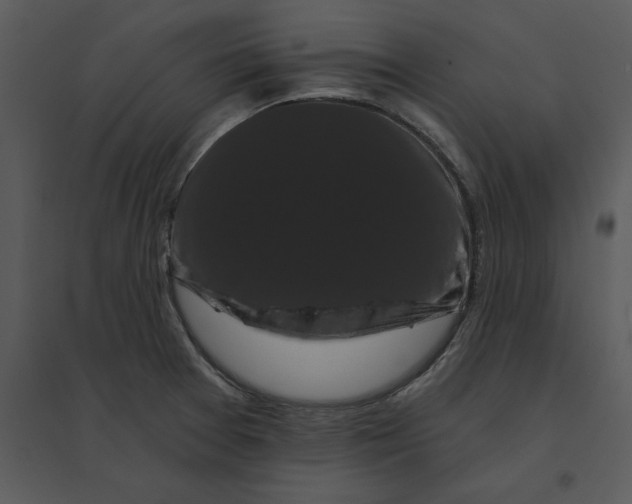 X0000095551377200801041322