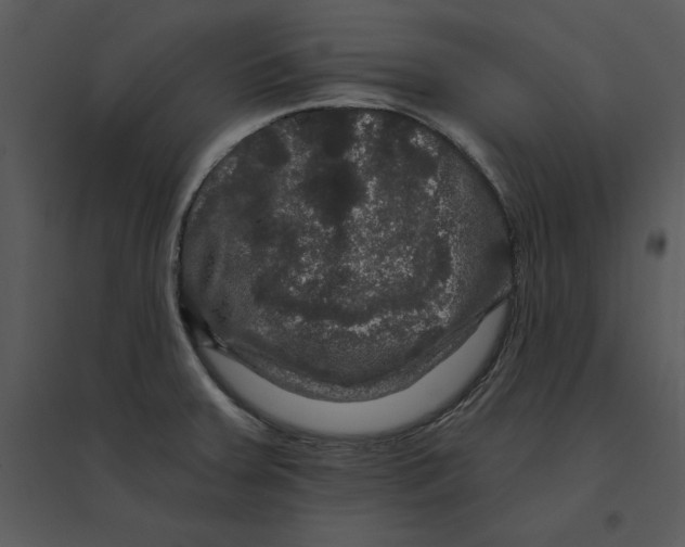 X0000095551379200801041322