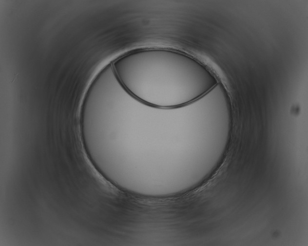 X0000095551380200801041322